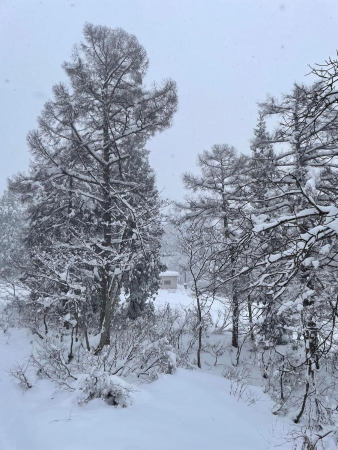 Elan Lodge Akakura Nagano Buitenkant foto